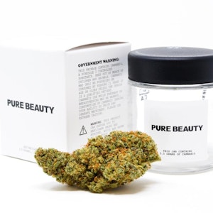 Pure beauty - TERRY T-PRE-PACK-(3.5G)-CBD